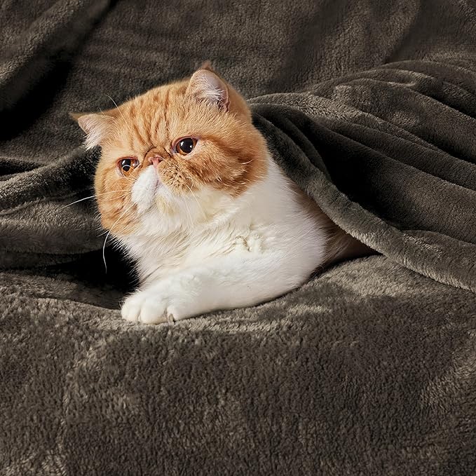 Bedsure GentleSoft Fleece Throw XL Blanket Brown - Image 2