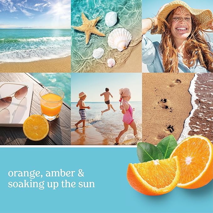 Yankee Candle ScentPlug Refill, Catching Rays (Pack of 6)