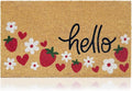 Coir Welcome Mat, Strawberries, 17 x 29 in | 100% Natural Coir, Anti-Shedding by AmaruDoorMats