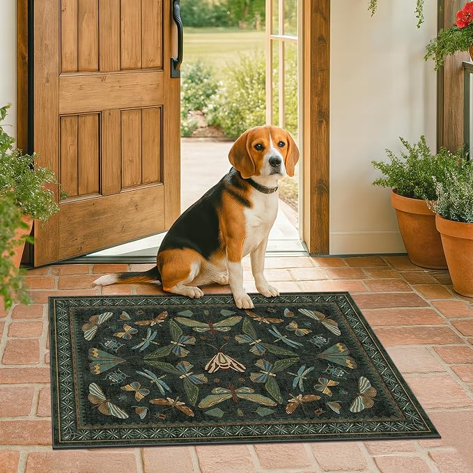 2x4 Entry Way Rugs Indoor - Image 8