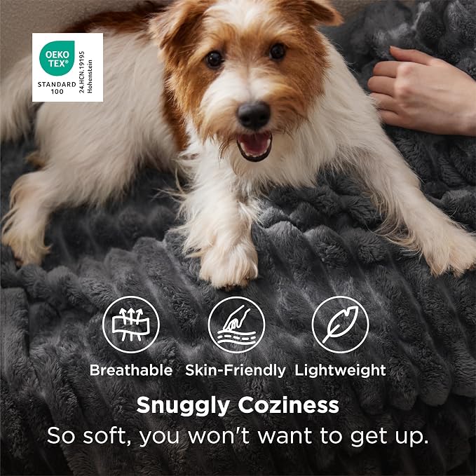 Bedsure Soft Twin XL Blanket for Bed Dorm Grey 66"x90" | Birthday Gifts for - Image 3