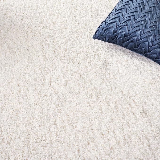 SAFAVIEH Area Rug 11x15 - Image 6