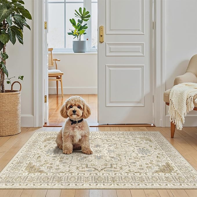 Madane Washable Area Rug 2x3 Small Entryway Rugs Non-Slip, Low Pile Floor Carpet by Madane