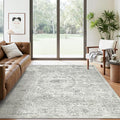 Soalmost 6x9 Area Rug for Living Room Washable Non-Slip Rugs Light Gray | by Soalmost