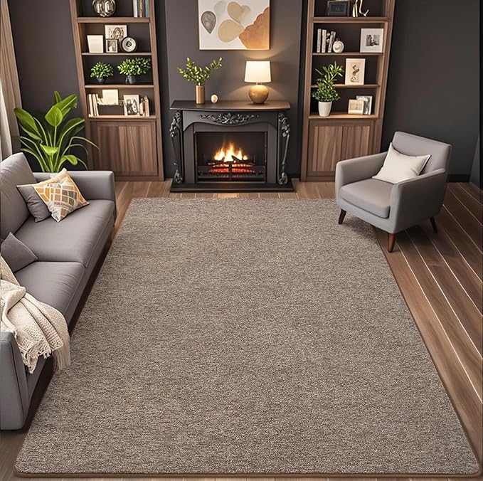 7x10 Area Rugs for Living Room Non Slip Dorm Bedroom Rug, Minimalist Washable by AROGANAREARUG