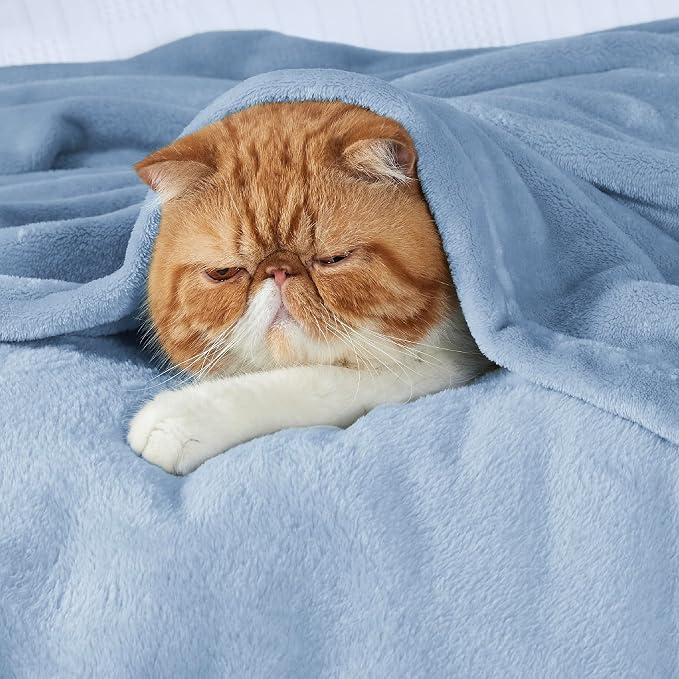 Bedsure GentleSoft Twin XL Fleece Blanket Dorm Bedding - Image 3