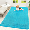 OLANLY Dog Door Mat for Muddy Paws 70x46, Super Absorbent Chenille Mud Mat | by OLANLY