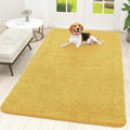 OLANLY Dog Door Mat for Muddy Paws 70x46, Super Absorbent Chenille Mud Mat | by OLANLY