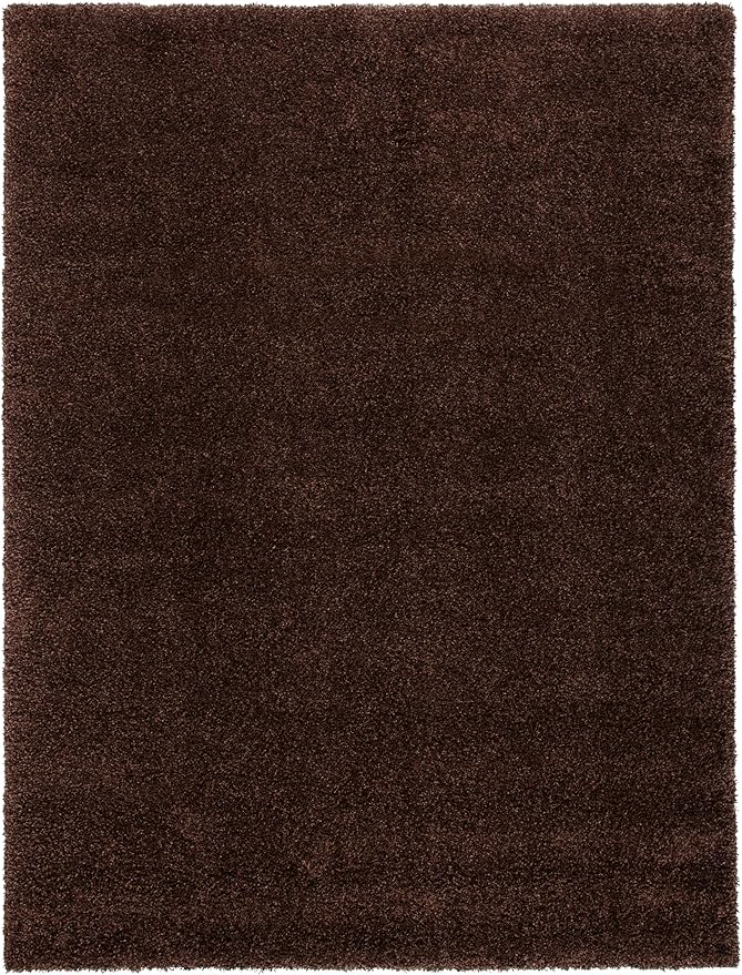 SAFAVIEH Area Rug 11x15 - Image 3