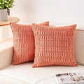 Aegero Pack of 2 Corduroy Decorative Throw Pillow Covers 18x18 Inch by Unknown