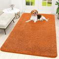 OLANLY Dog Door Mat for Muddy Paws 59x35, Super Absorbent Chenille Mud Mat | by OLANLY