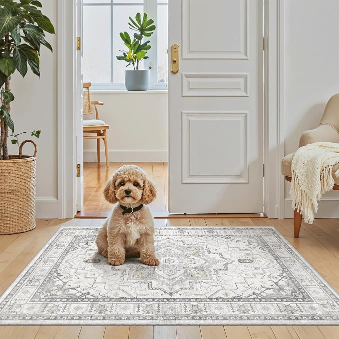 Madane Washable Area Rug 2x3 Small Entryway Rugs Non-Slip, Low Pile Floor Carpet - Image 3