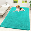 OLANLY Dog Door Mat for Muddy Paws 59x35, Super Absorbent Chenille Mud Mat | by OLANLY