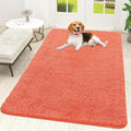 OLANLY Dog Door Mat for Muddy Paws 59x35, Super Absorbent Chenille Mud Mat | by OLANLY