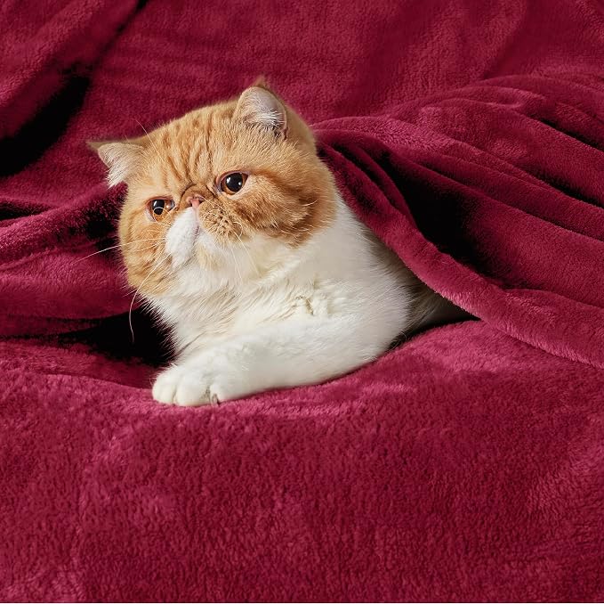 Bedsure GentleSoft Fleece Blanket Twin Size Red - Image 2