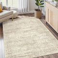 Soalmost 4x6 Area Rug for Living Room, Washable Rugs Non-Slip, Thin Foldable by Soalmost