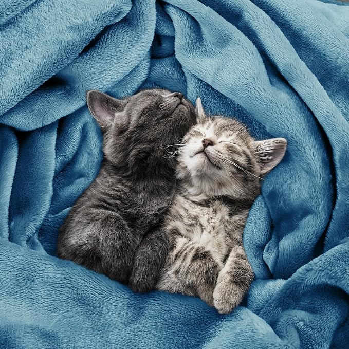 Utopia Bedding Soft Fleece Bed Blanket King Size Washed Blue | Microfiber Plush - Image 4