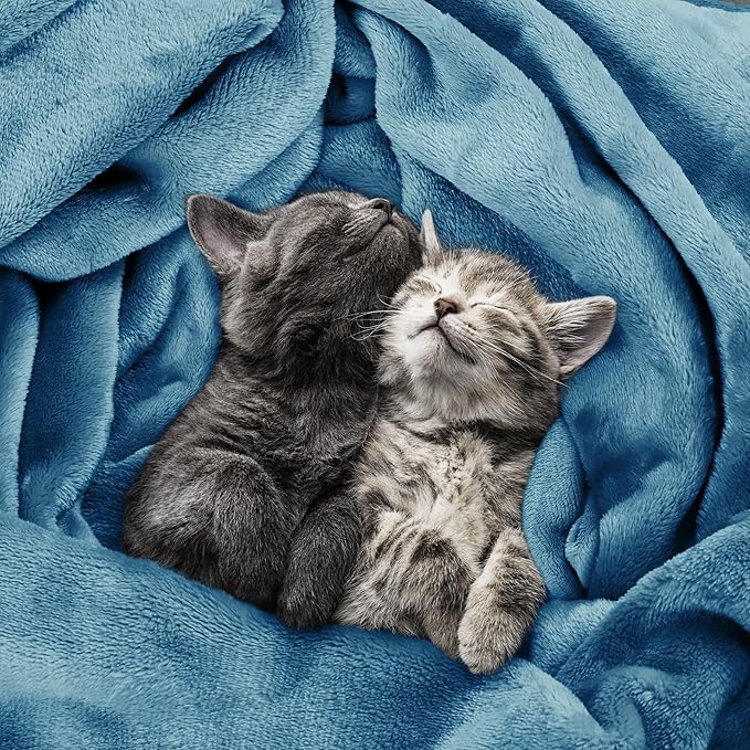 Utopia Bedding Soft Fleece Bed Blanket Queen Size Washed Blue | Microfiber - Image 4